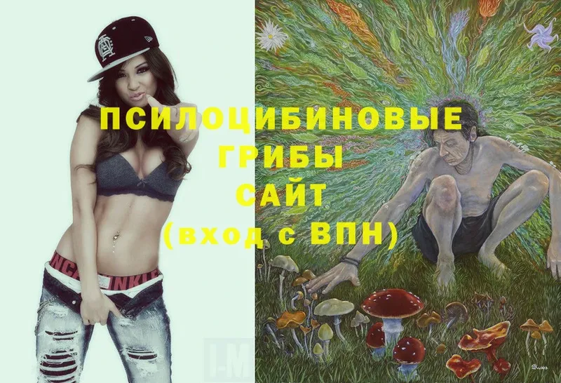 Псилоцибиновые грибы Psilocybine cubensis  продажа наркотиков  Нерехта 